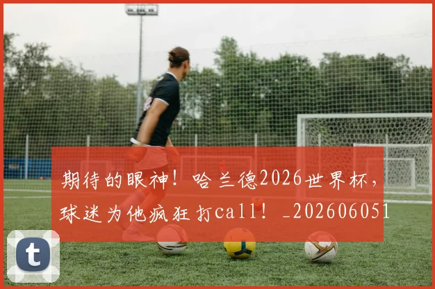 期待的眼神！哈兰德2026世界杯，球迷为他疯狂打call！_20260605190453